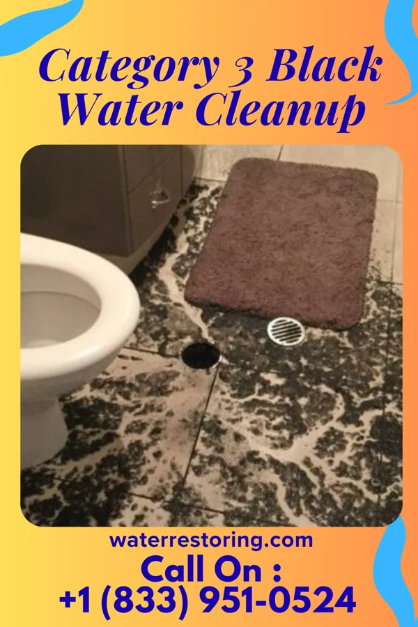 Category 3 Black Water Cleanup in Mathis, TX